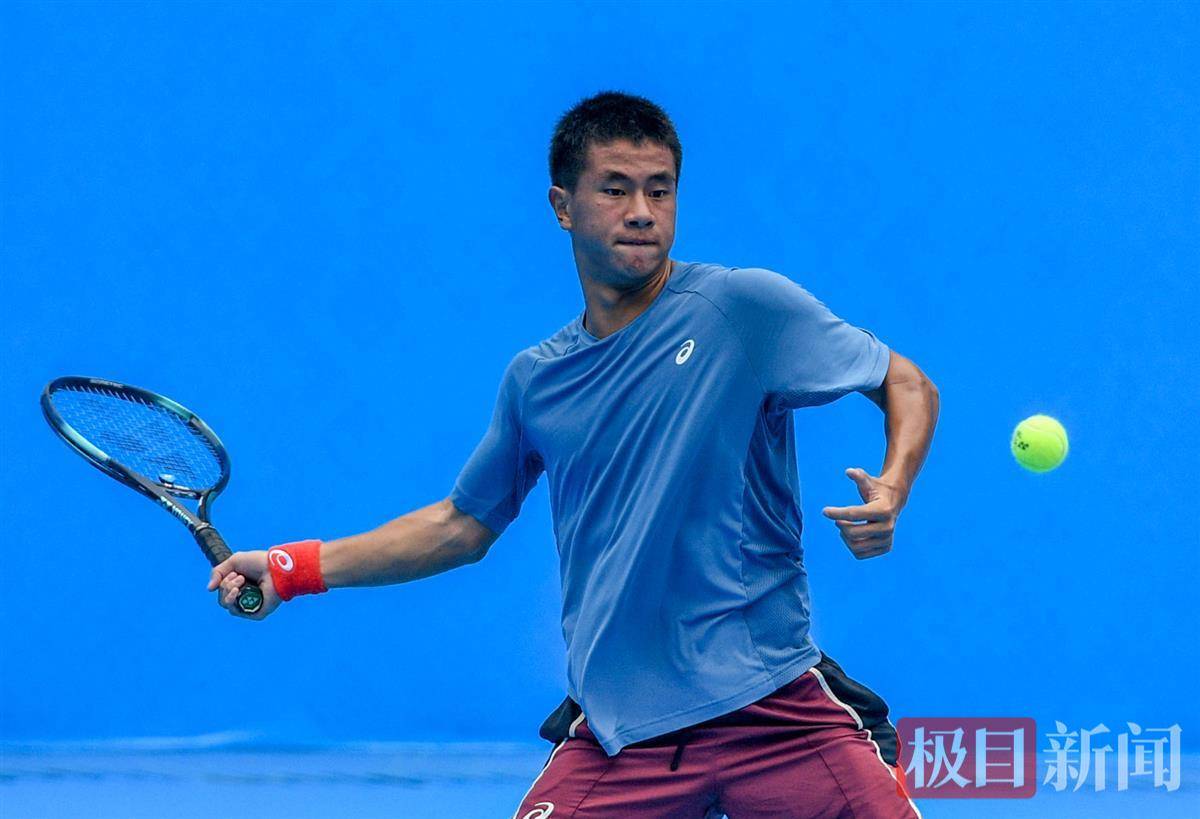 树的严防死 树的严防死